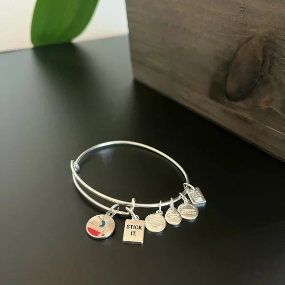 Alex and Ani Jewelry Alex And Ani Bracelet Silver America